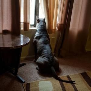 Meet your Posher, Charles